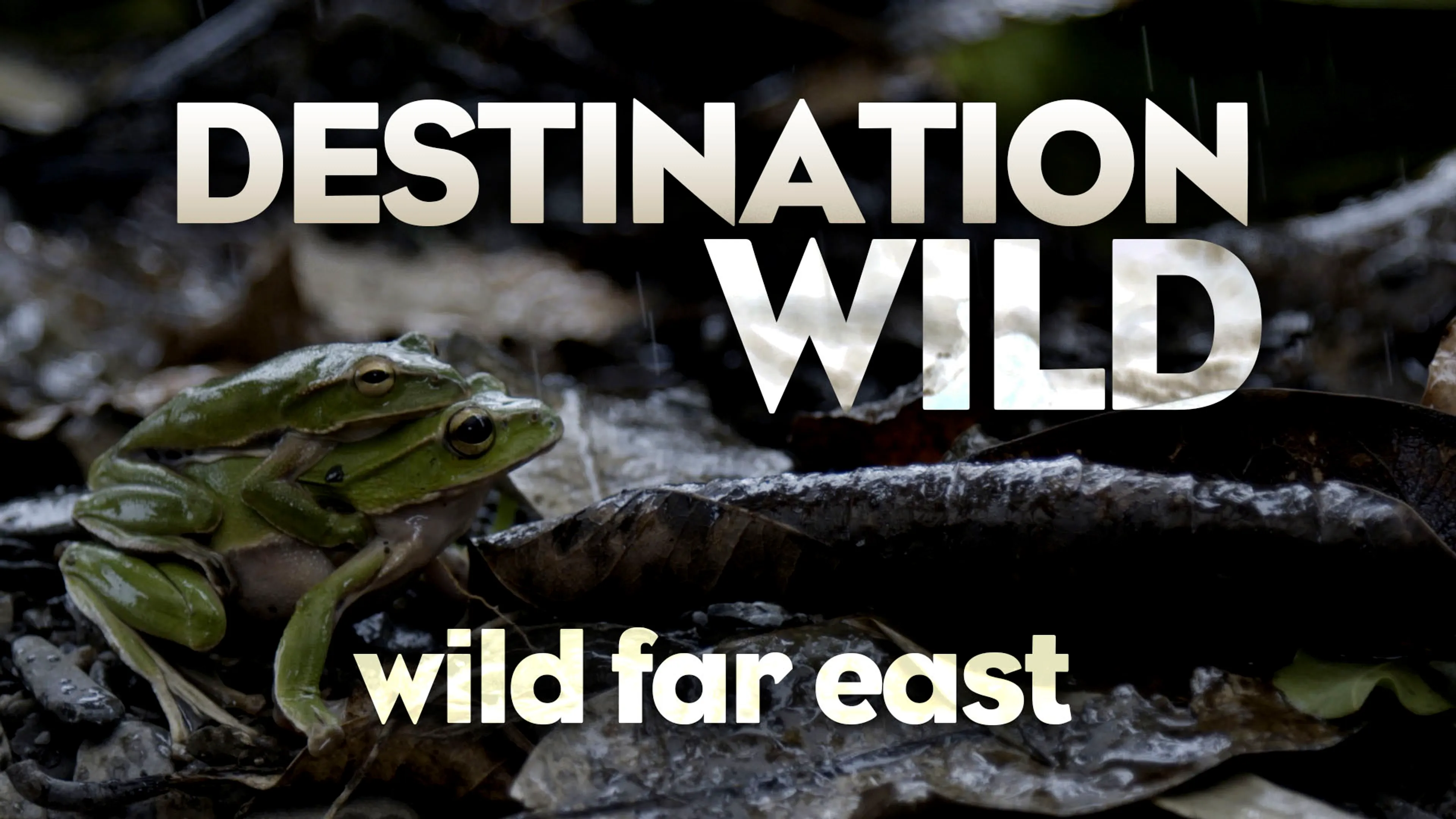 Destination Wild: Wild Far East poster